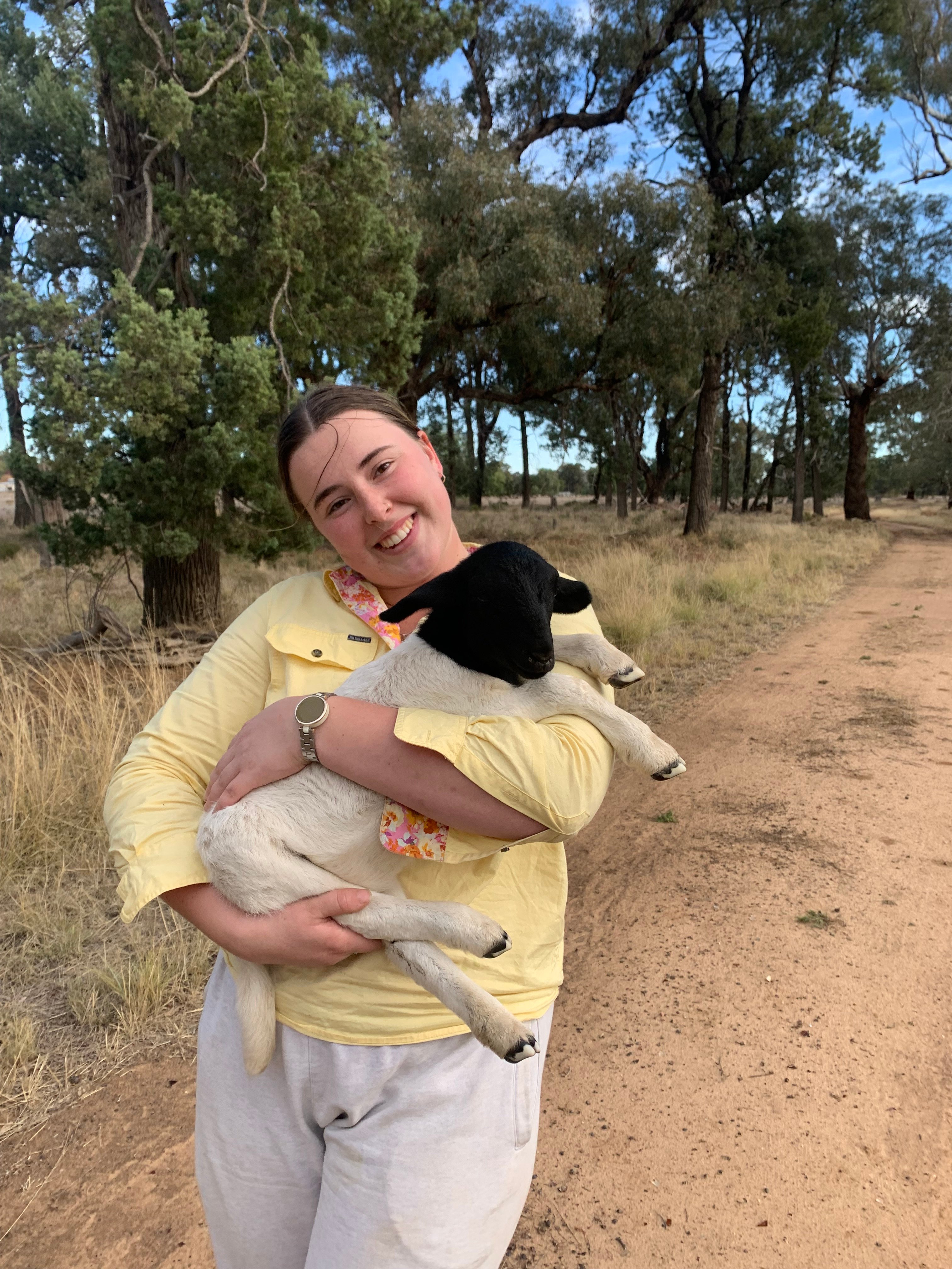 Mastering Sheep Handling